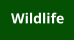 Wildlife
